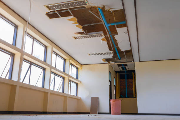 Best Ceiling water damage repair  in Gillett, WI
