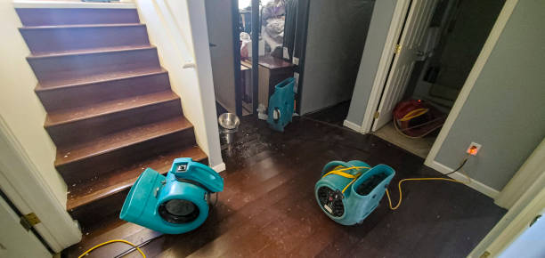 Best Flooded house restoration  in Gillett, WI
