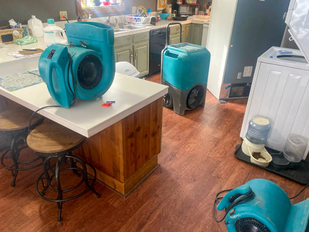 Best Local water damage restoration  in Gillett, WI