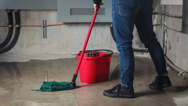 Best Water damage restoration insurance claims  in Gillett, WI