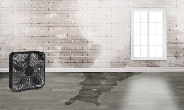 Carpet water damage restoration in Gillett, WI