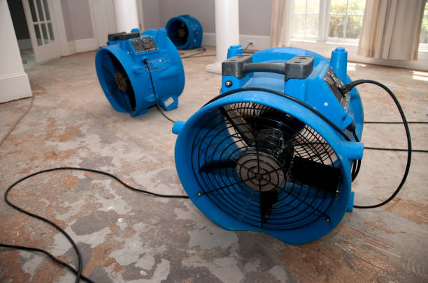 Best Residential water damage restoration  in Gillett, WI