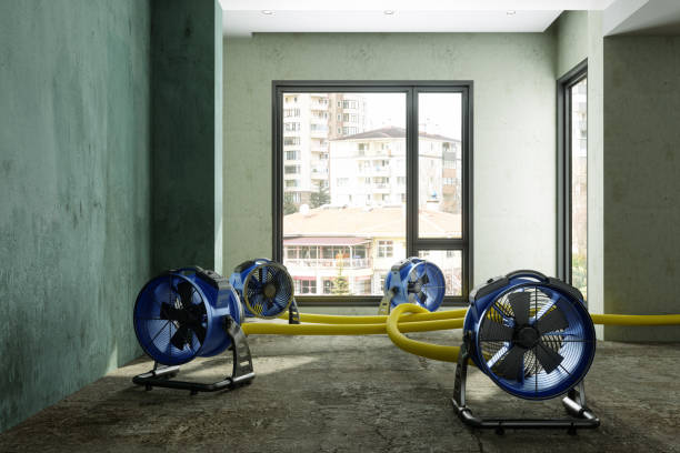 Best Basement water damage restoration  in Gillett, WI